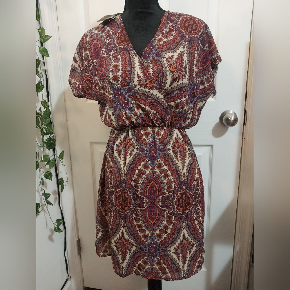 Francesca's Dress